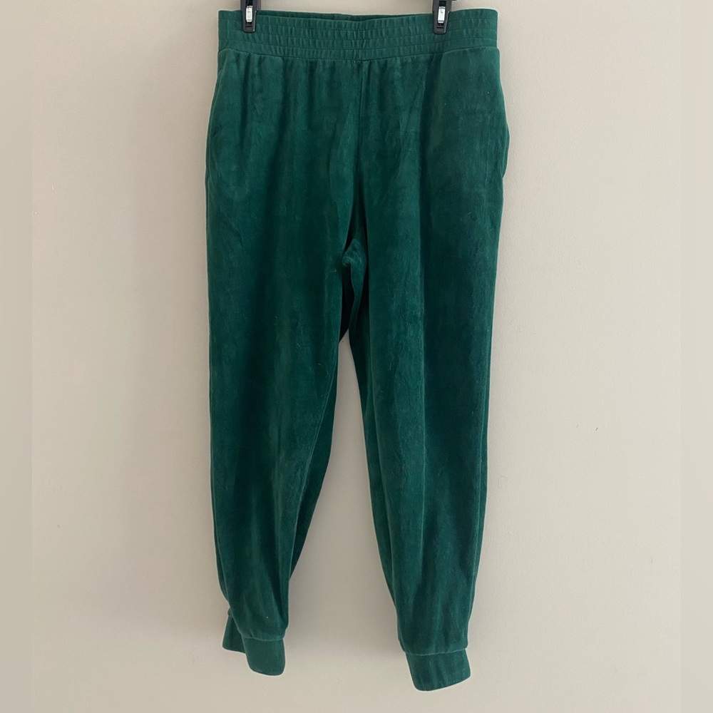 Green Wild Fable Velvet Joggers